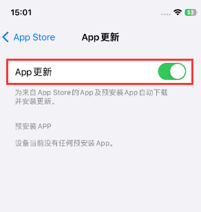 惠水苹果15维修中心如何让iPhone15APP自动更新